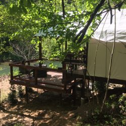 tent in the trees tent in the trees